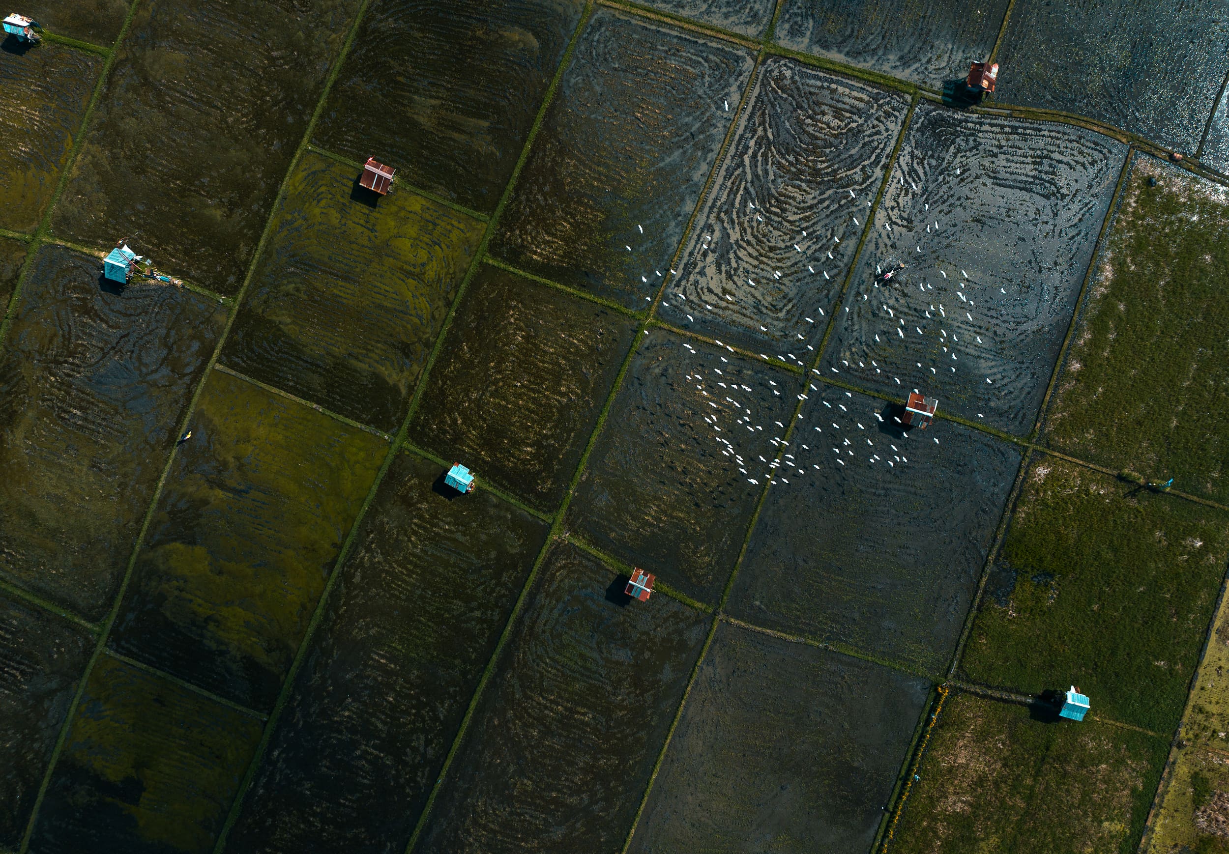 Rice paddies meeting dense development in Bali, from the air